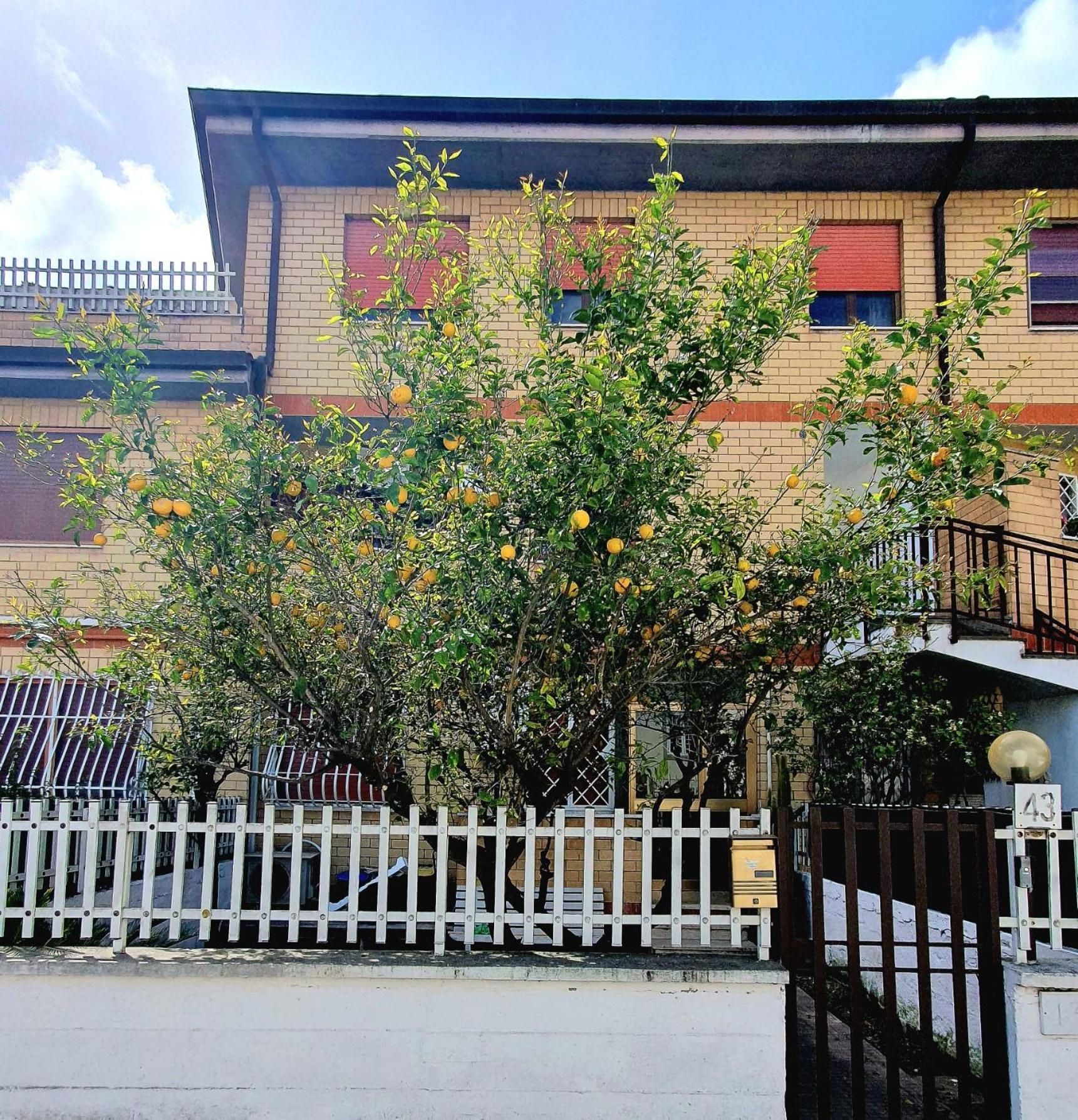 Ferienwohnung Lemon Tree House Ostia Antica Exterior foto